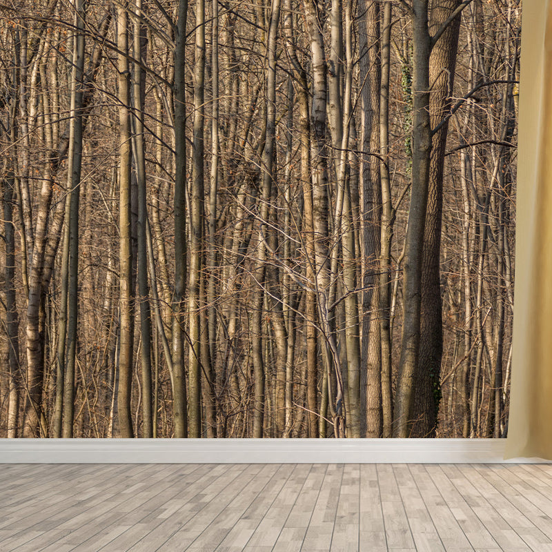 Contemporary Living Room Wall Decor Autumn Forest Mural Wallpaper, Moisture Resistant