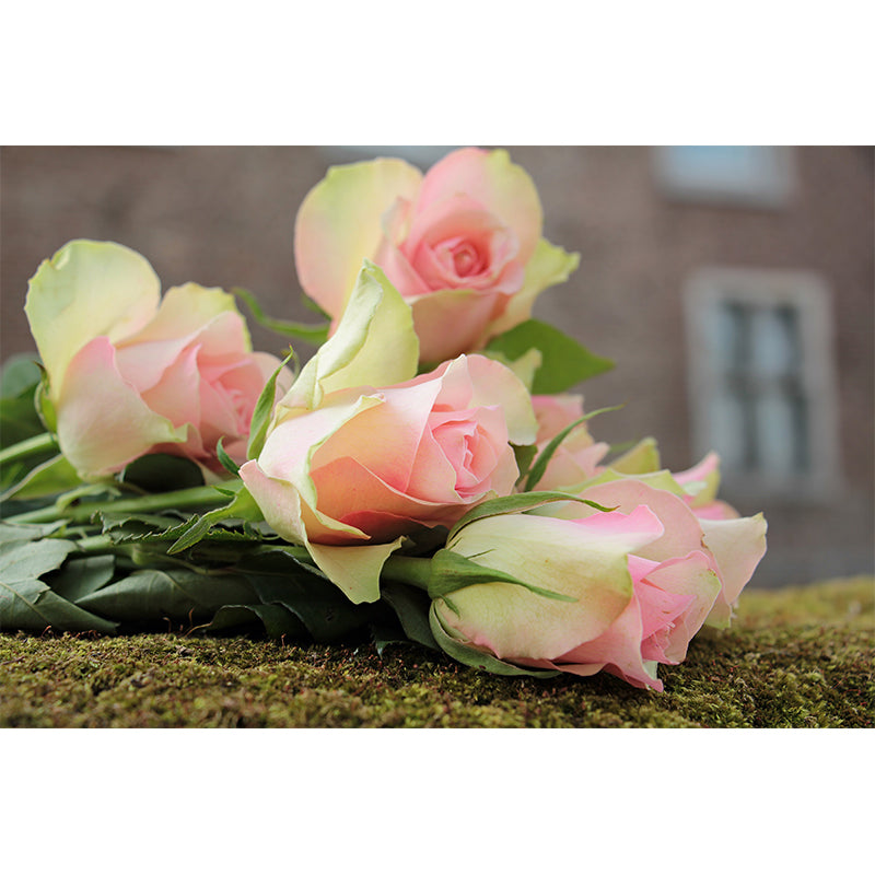 Delicate Rose Mural Eco-friendly Wallpaper Wall Covering for Sleeping Room