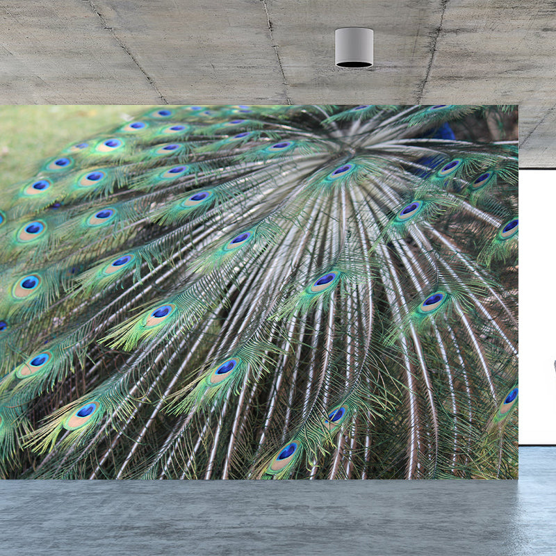 Minimalism Style Feather Mural Decal Water Resistant Wall Decor for Gust Room