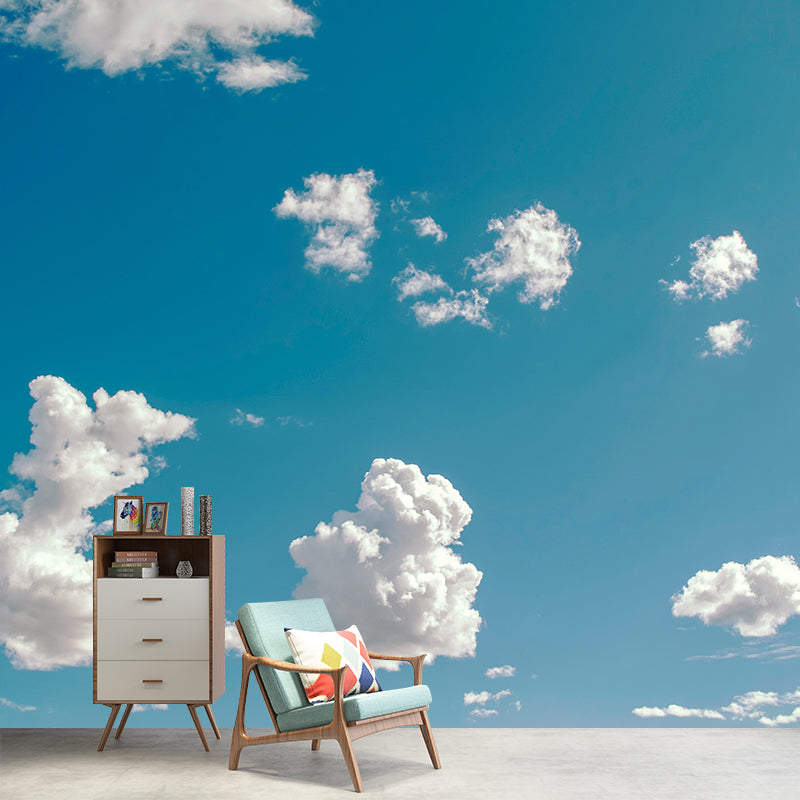 Sky Landscapes Mural Contemporary Wall Covering Light Color for Living Room