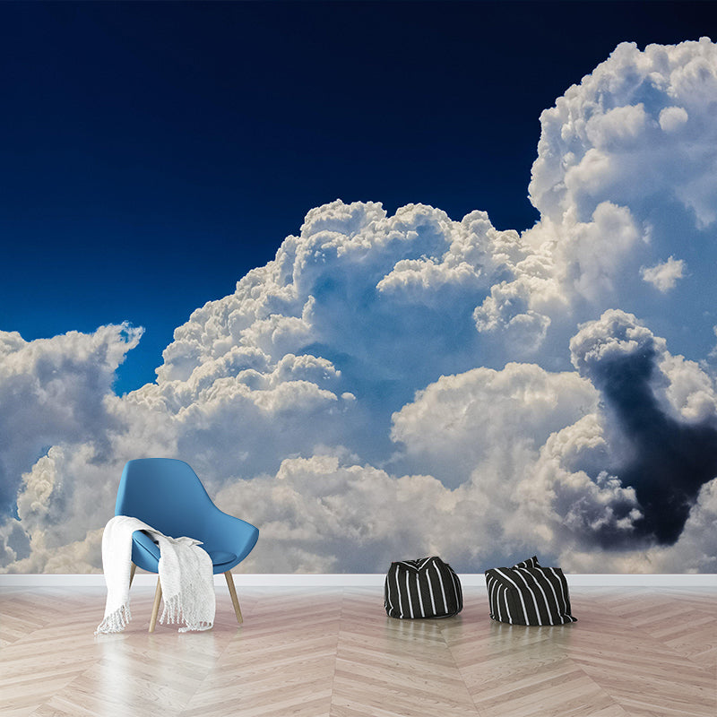 Sky Landscapes Mural Contemporary Wall Covering Light Color for Living Room