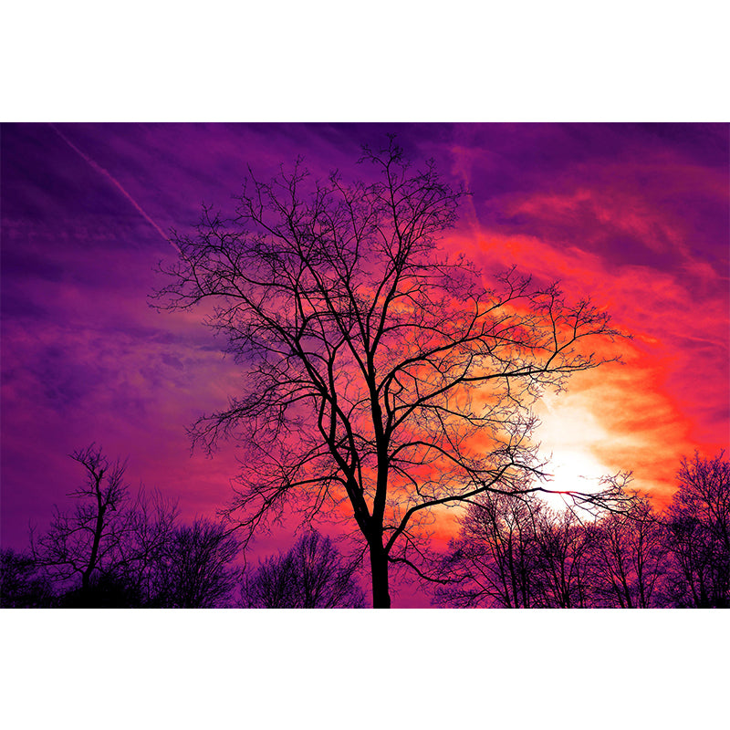 Sky Landscapes Mural Contemporary Wall Covering Soft Color Wallpaper for Dining Room