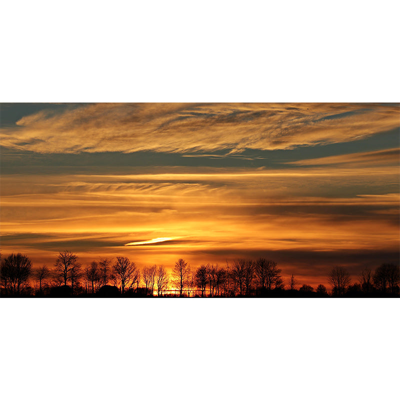 Customized Sky Mural Modern Style Mildew Resistant Living Room Wall Decor