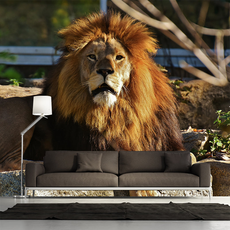 Wild Animal Lion Mural Wallpaper for Living Room, Multiple Sizes Available