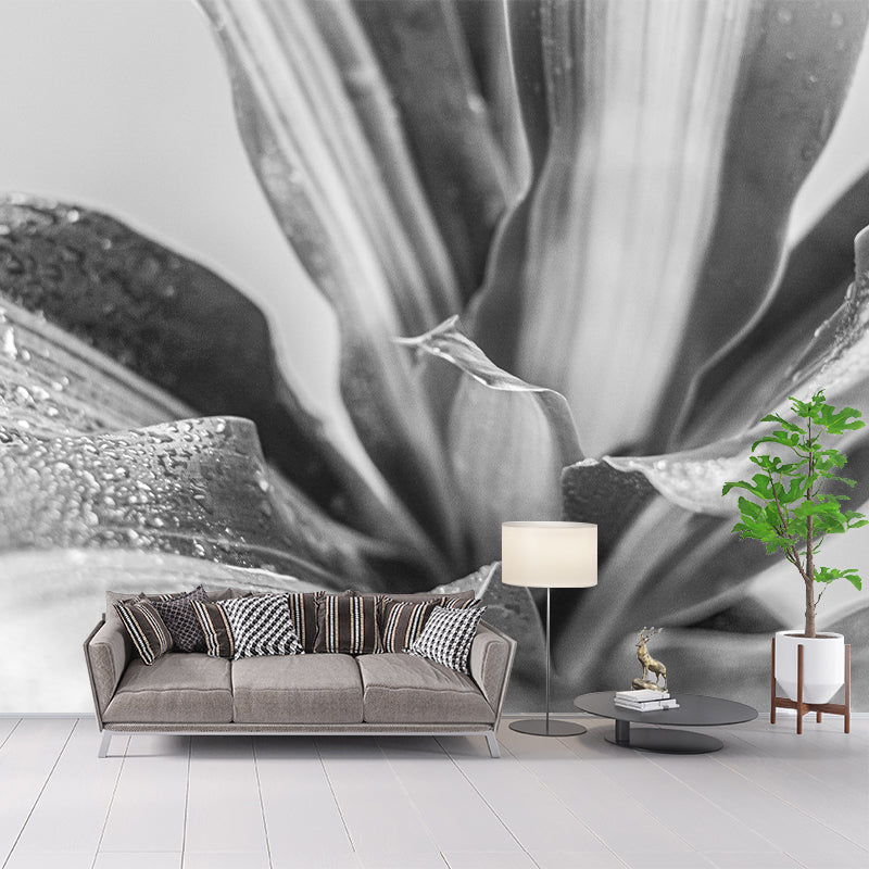 Houseplant Removable Wall Mural for Sitting Room Bedroom, Moisture Resistant