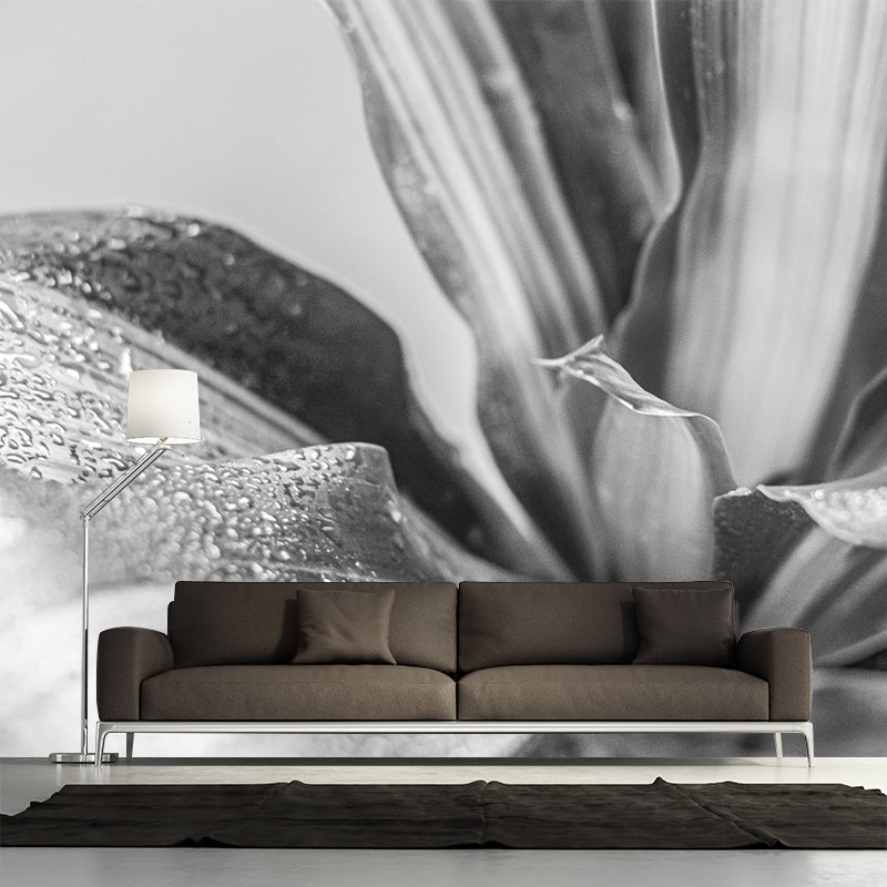 Houseplant Removable Wall Mural for Sitting Room Bedroom, Moisture Resistant