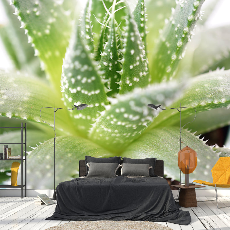 Modern Living Room Corridor Indoor Plants Wall Decor Water Resistant Mural