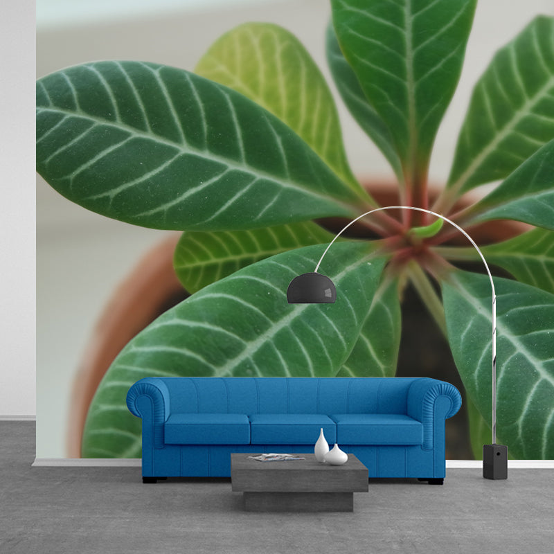 Modern Living Room Corridor Indoor Plants Wall Decor Water Resistant Mural