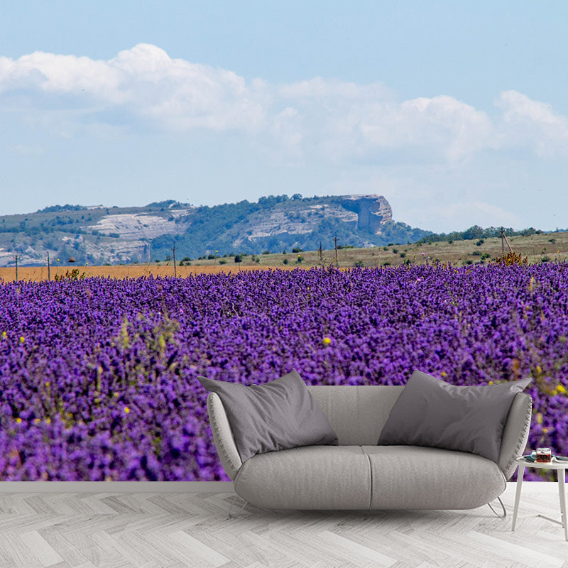 Purple Lavender Field Mural Wallpaper Contemporary Wall Covering for Sleeping Room