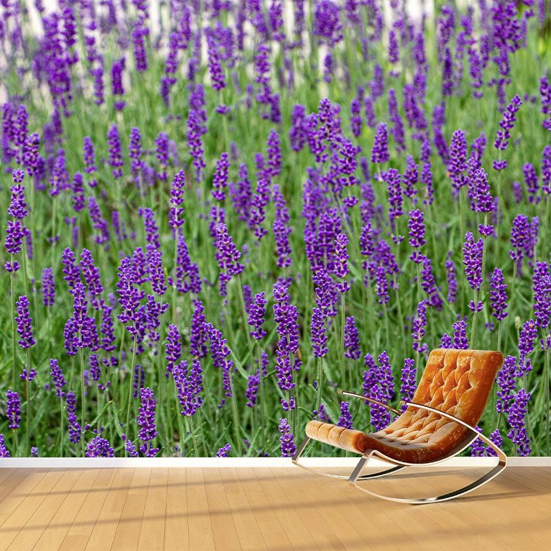 Purple Lavender Field Mural Wallpaper Contemporary Wall Covering for Sleeping Room