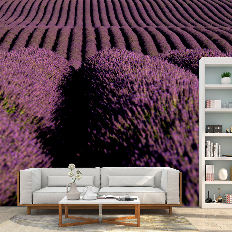 Purple Lavender Field Mural Wallpaper Contemporary Wall Covering for Sleeping Room