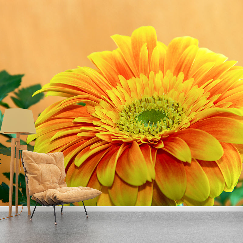 Chrysanthemum Removable Wall Mural for Girl's Bedroom, Custom Size Available