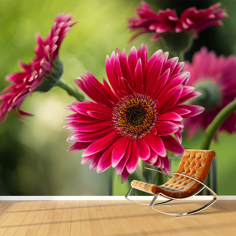 Chrysanthemum Removable Wall Mural for Girl's Bedroom, Custom Size Available