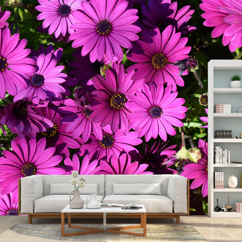Chrysanthemum Removable Wall Mural for Girl's Bedroom, Custom Size Available
