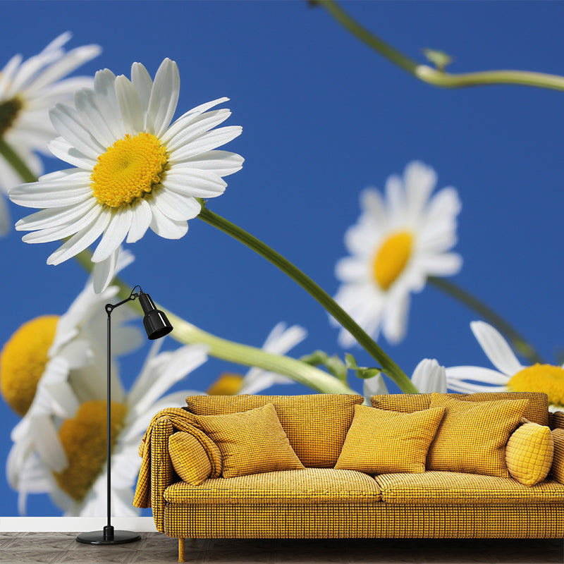 Chamomile Wall Murals Flower Modernist Sleeping Room Wall Decor, Moisture Resistant