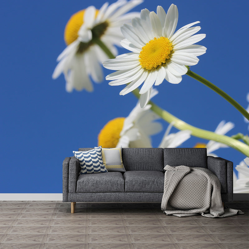 Chamomile Wall Murals Flower Modernist Sleeping Room Wall Decor, Moisture Resistant