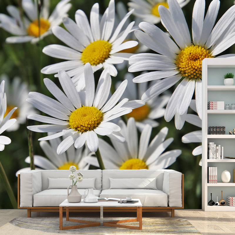 Chamomile Wall Murals Flower Modernist Sleeping Room Wall Decor, Moisture Resistant