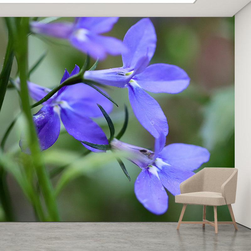Customized Lobelia Mural Wallpaper Waterproofing Wall Decor for Meeting Room