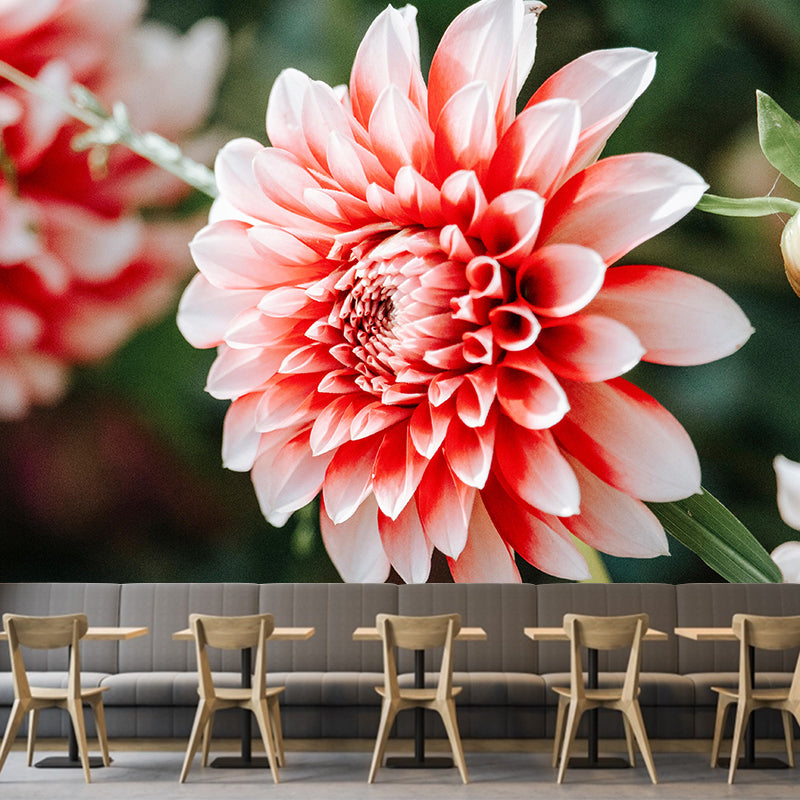 Customized Dahlia Mural Wallpaper Waterproofing Wall Decor for Meeting Room