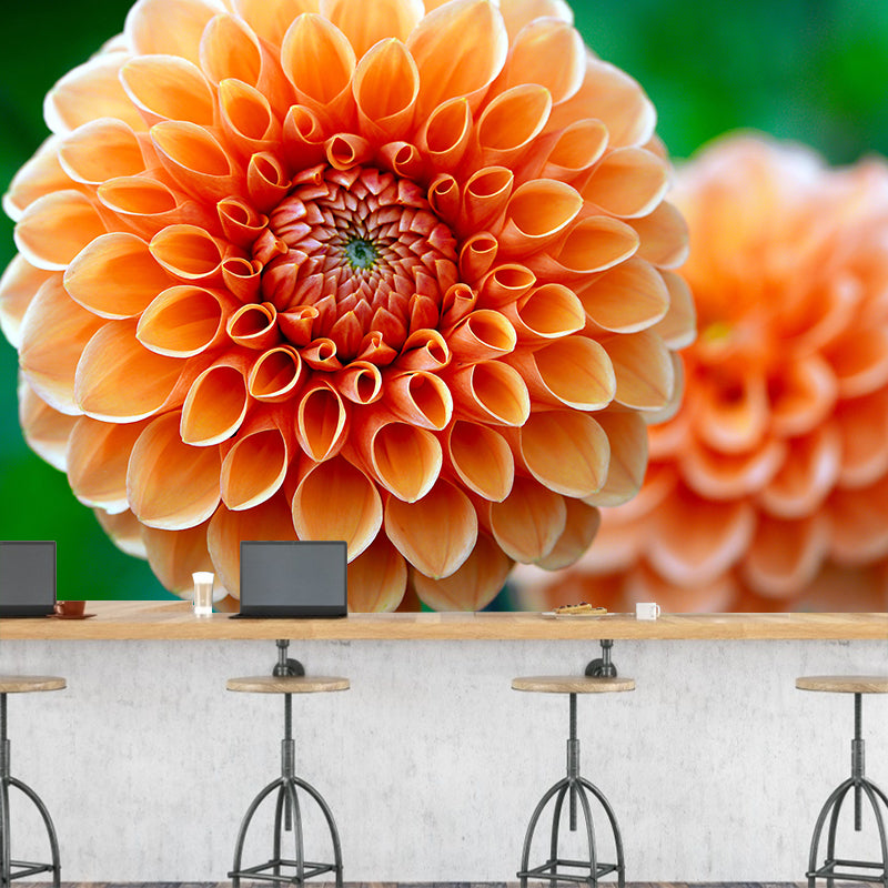 Customized Dahlia Mural Wallpaper Waterproofing Wall Decor for Meeting Room