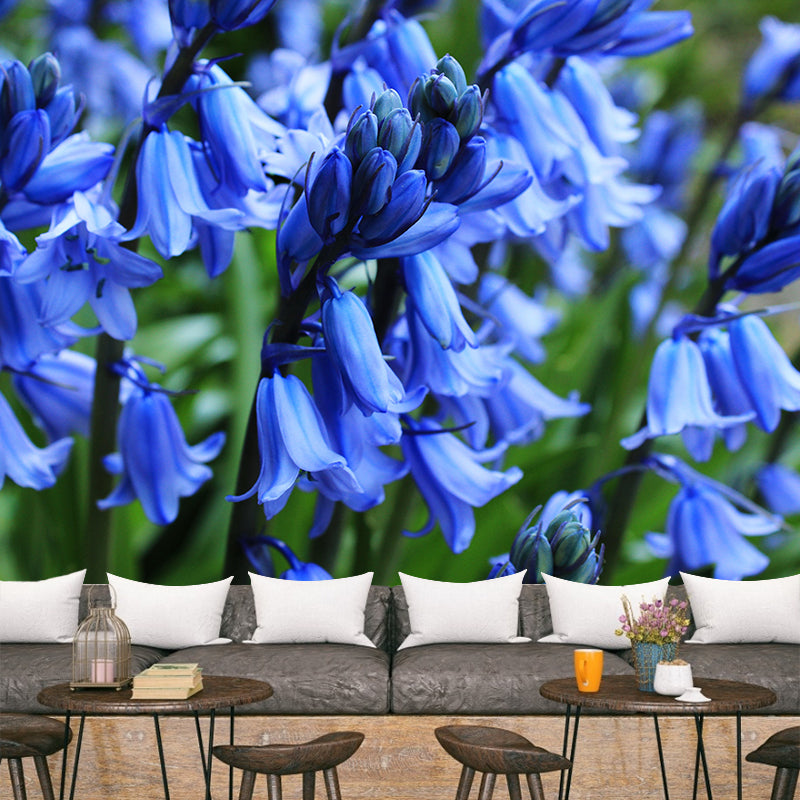 Beautiful Hyacinth Wall Mural Decal Colorful Mural Wallpaper for Girl Bedroom