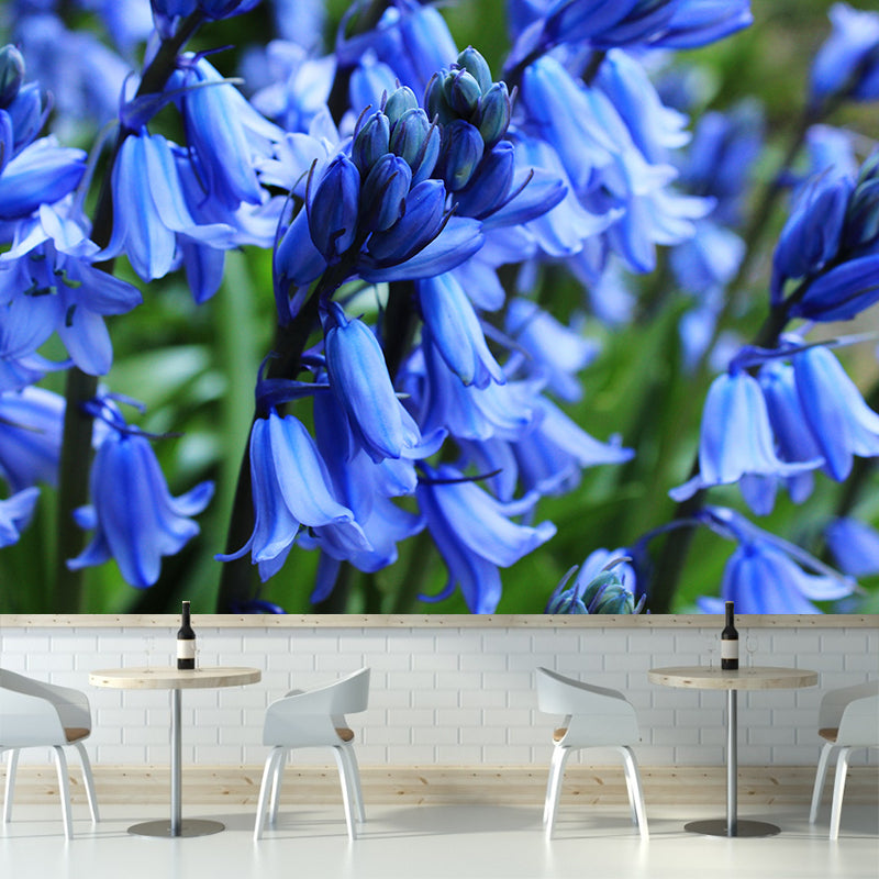 Beautiful Hyacinth Wall Mural Decal Colorful Mural Wallpaper for Girl Bedroom