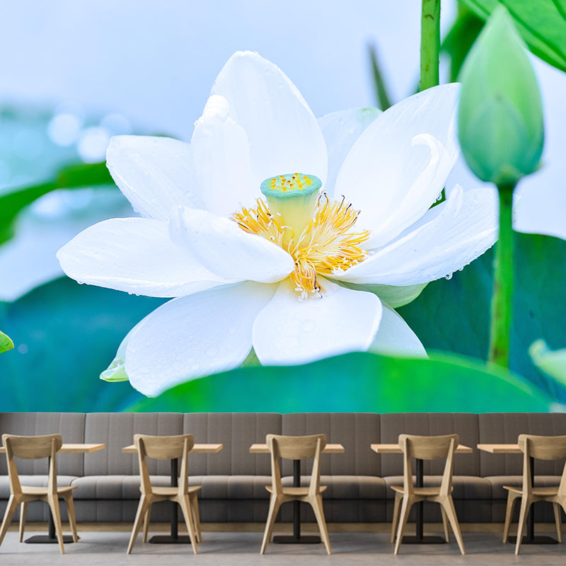 Customized Lotus Mural Wallpaper Waterproofing Wall Decor for Meeting Room