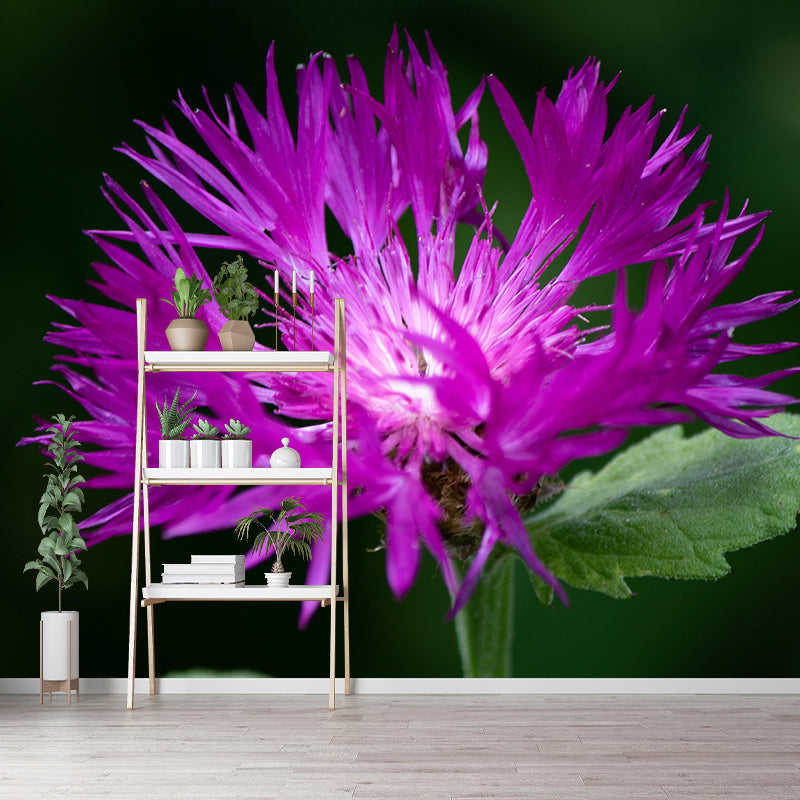 Customized Cornflower Mural Wallpaper Waterproofing Wall Decor for Meeting Room