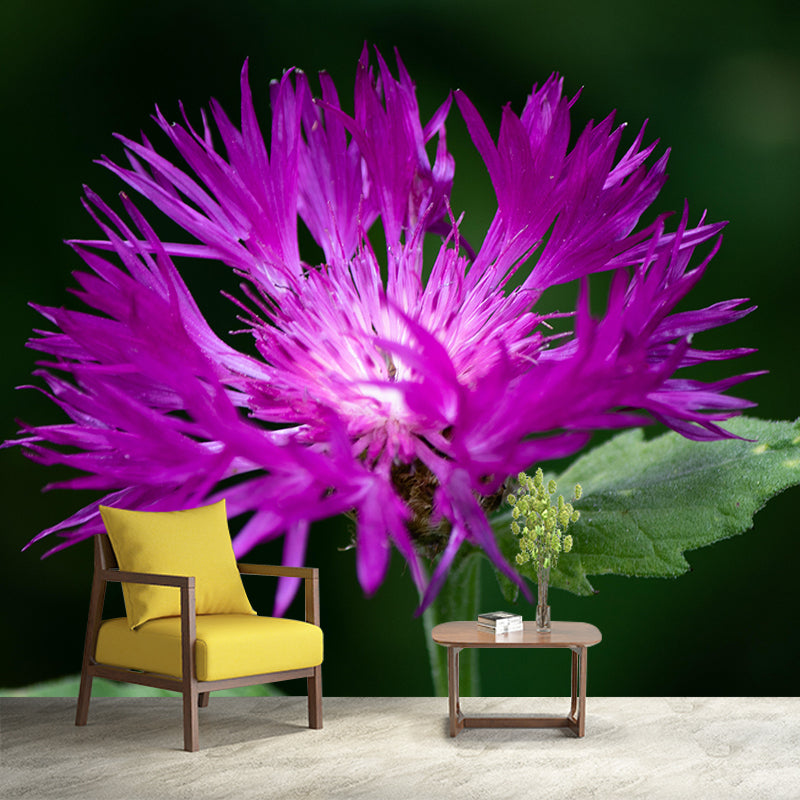 Customized Cornflower Mural Wallpaper Waterproofing Wall Decor for Meeting Room