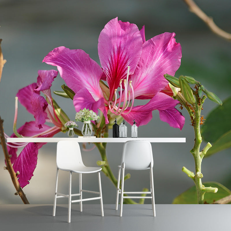 Customized Bauhinia Mural Wallpaper Waterproofing Wall Decor for Meeting Room