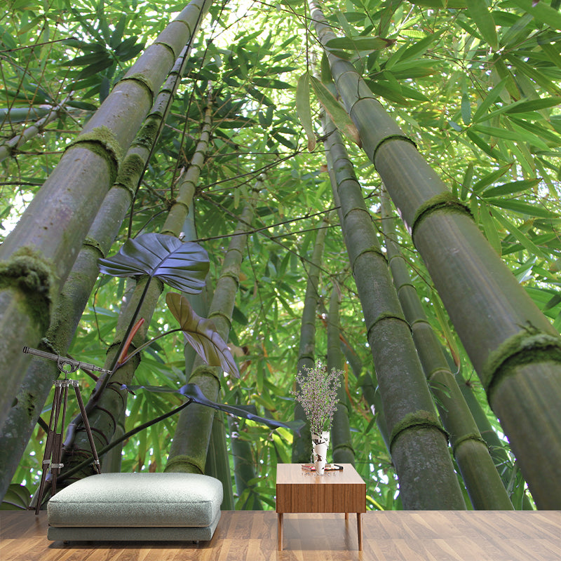 Green Bamboo Wall Mural Minimalist Decoration Stain Resistant for Sitting Room