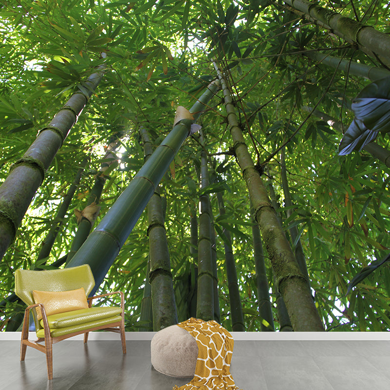 Green Bamboo Wall Mural Minimalist Decoration Stain Resistant for Sitting Room