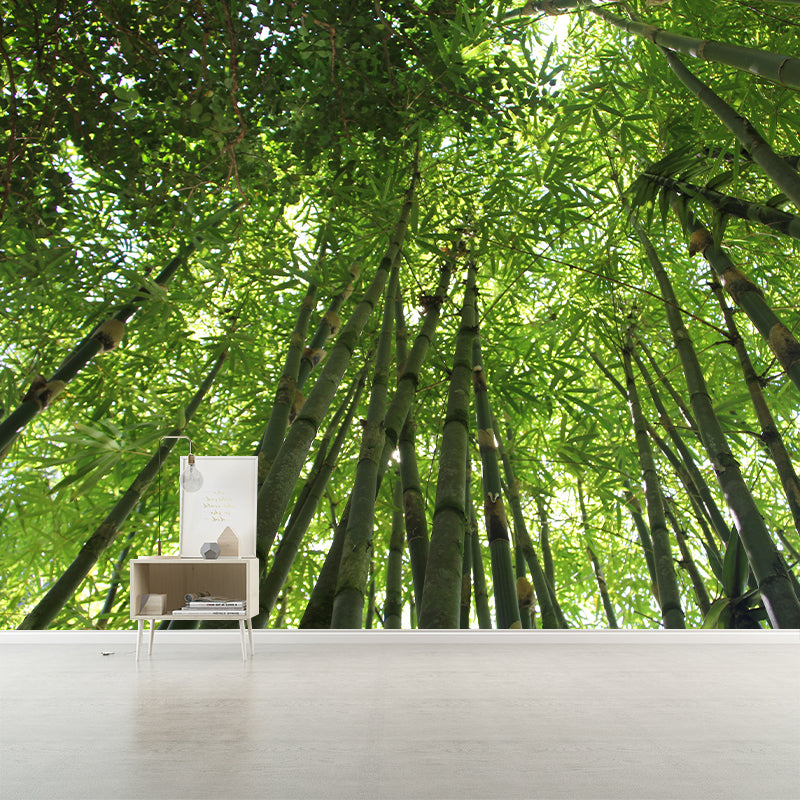 Green Bamboo Wall Mural Minimalist Decoration Stain Resistant for Sitting Room