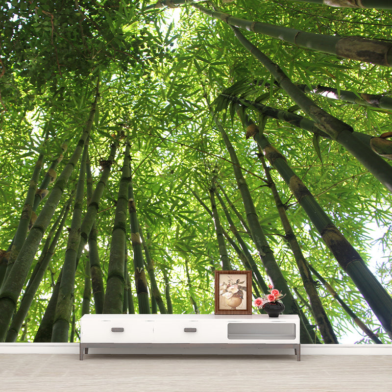 Green Bamboo Wall Mural Minimalist Decoration Stain Resistant for Sitting Room