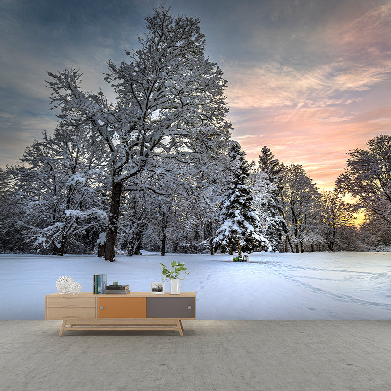 Forest Tree Contemporary Mural Decal Sitting Room Water Resistant Wall Decor