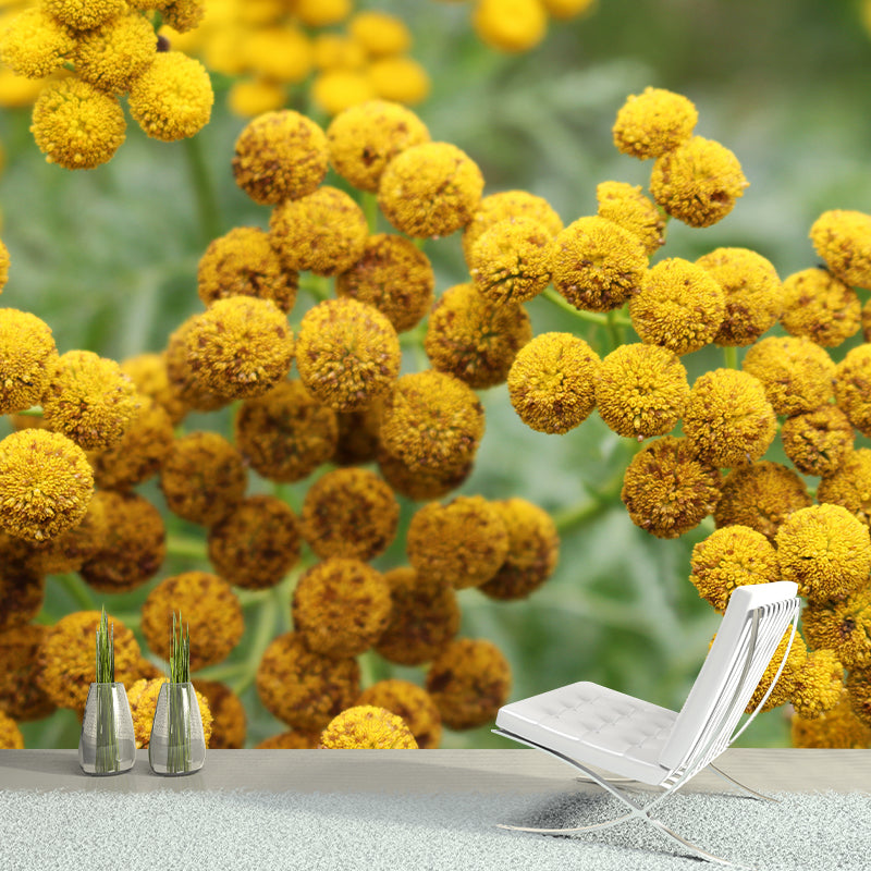 Tansy Flower Wall Covering for Girls' Bedroom Water Resistant Wall Decor