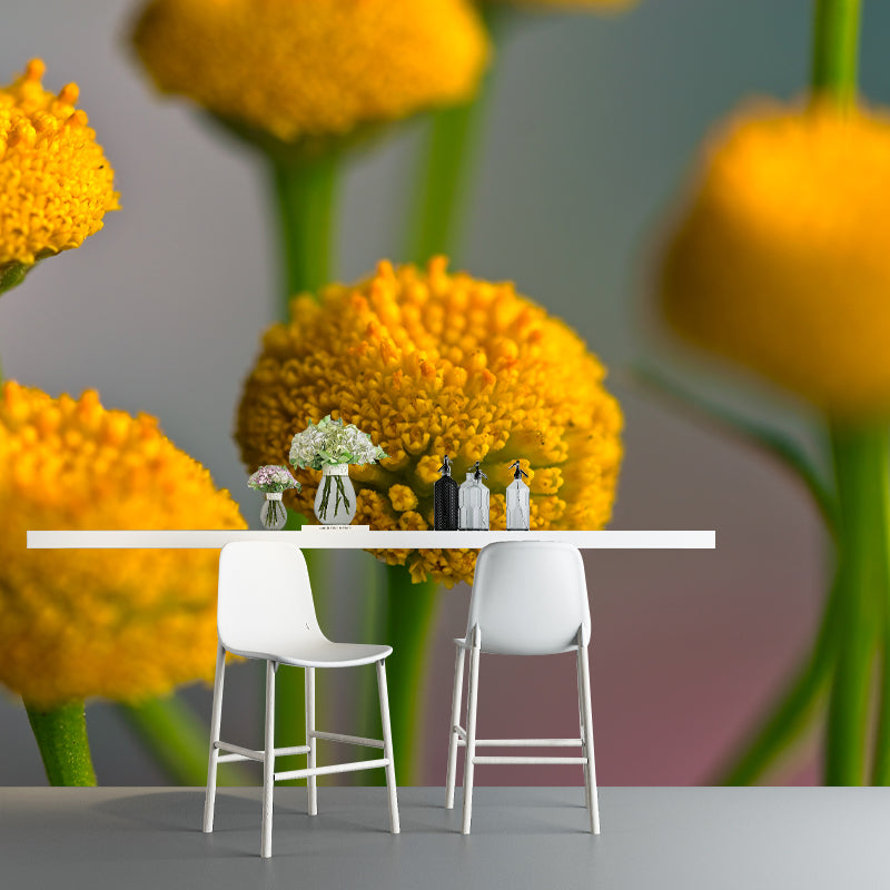 Tansy Flower Wall Covering for Girls' Bedroom Water Resistant Wall Decor