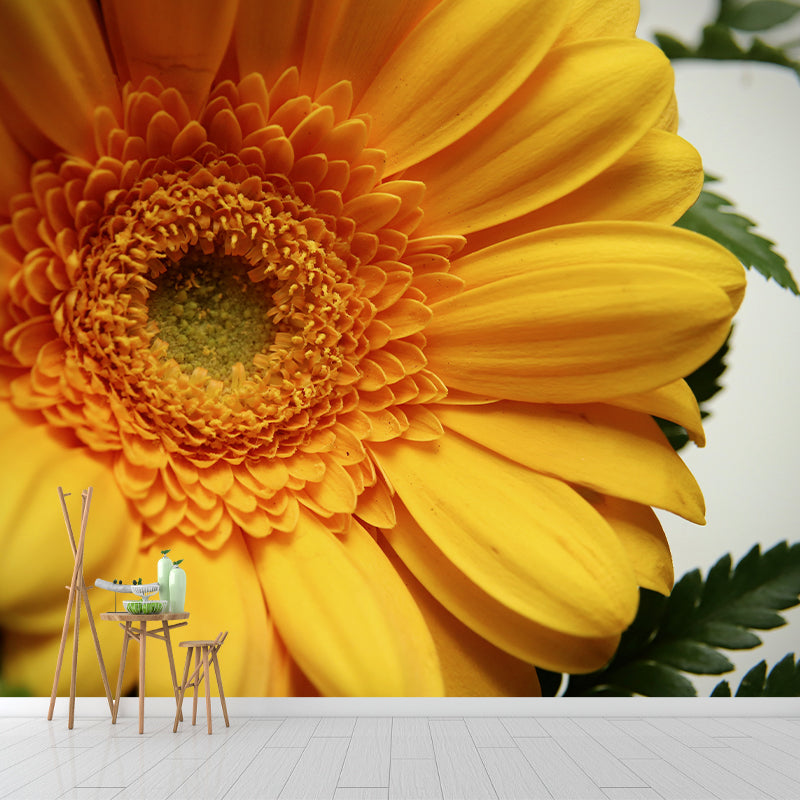 Chrysanthemum Flower Wall Decor Mural Moisture Resistant Sleeping Room Wall Covering