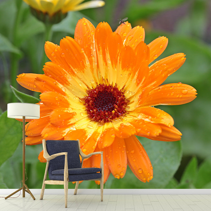 Chrysanthemum Flower Wall Decor Mural Moisture Resistant Sleeping Room Wall Covering