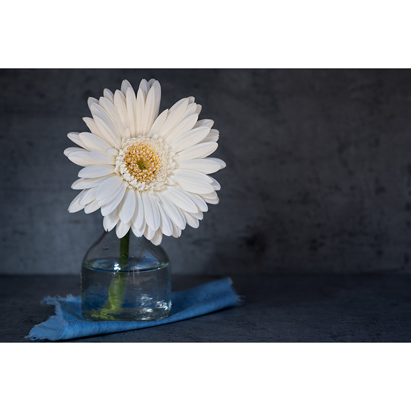 Chrysanthemum Flower Wall Decor Mural Moisture Resistant Sleeping Room Wall Covering