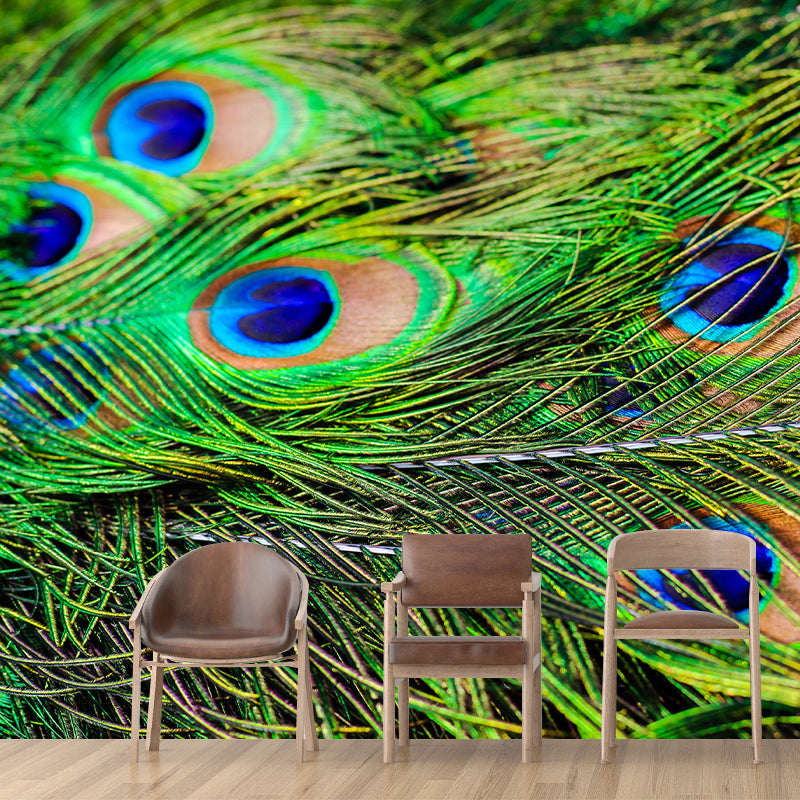 Tropical Style Feather Mural Mildew Resistant for Sitting Room Bedroom