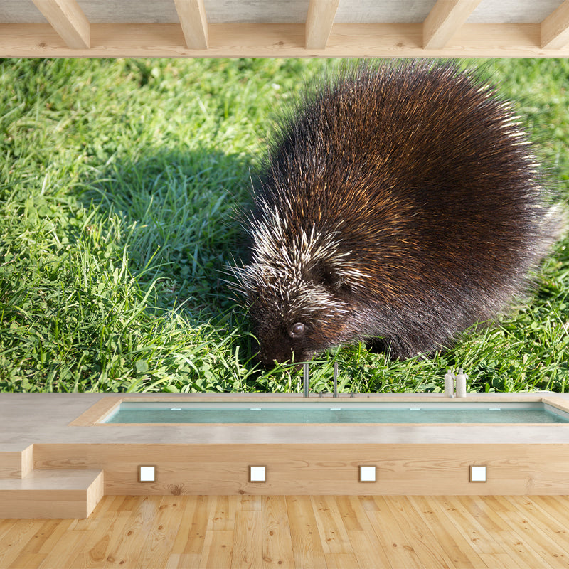 Environment Friendly Mural with Porcupine Painting Mildew Resistant Wallpaper Home Decor