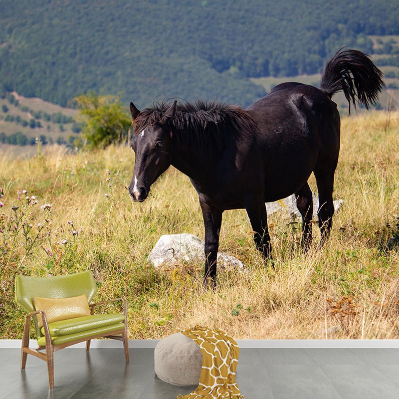 Customized Horse Wall Mural Wallpaper Horizontal Photography for Sitting Room