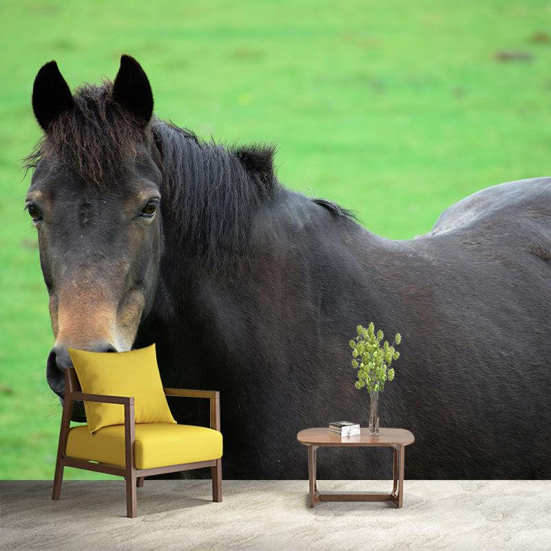 Customized Horse Wall Mural Wallpaper Horizontal Photography for Sitting Room