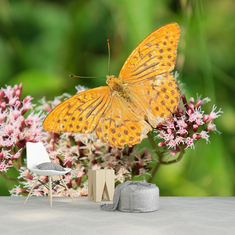 Customized Butterfly Wall Mural Wallpaper Horizontal Photography for Bedroom