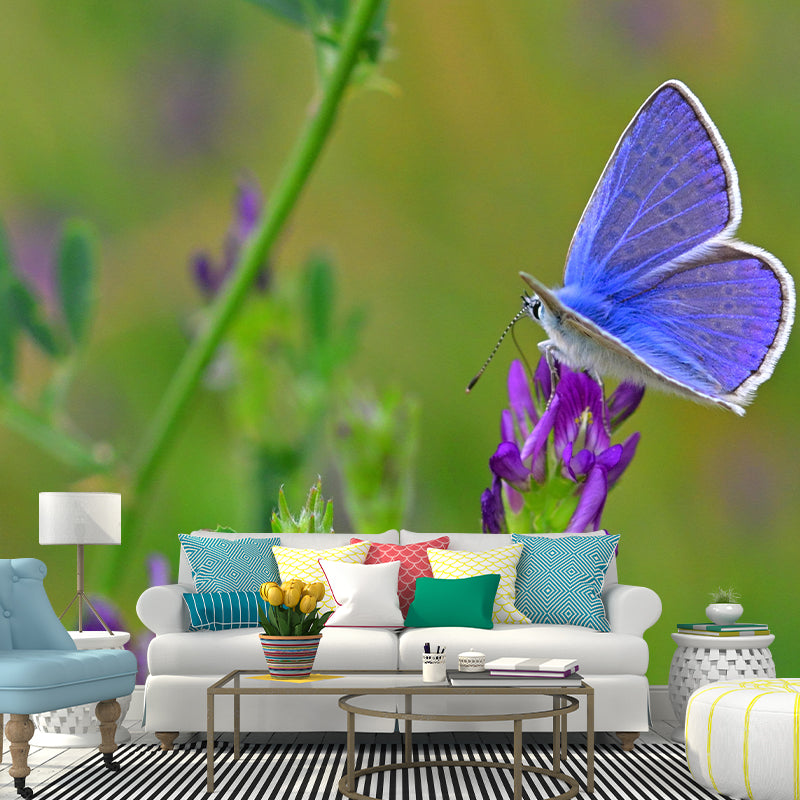 Environment Friendly Mural with Butterfly Painting Mildew Resistant Wallpaper Home Decor