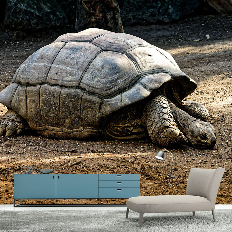 Customized Giant Tortoise Wall Mural Wallpaper Horizontal Photography for Sitting Room