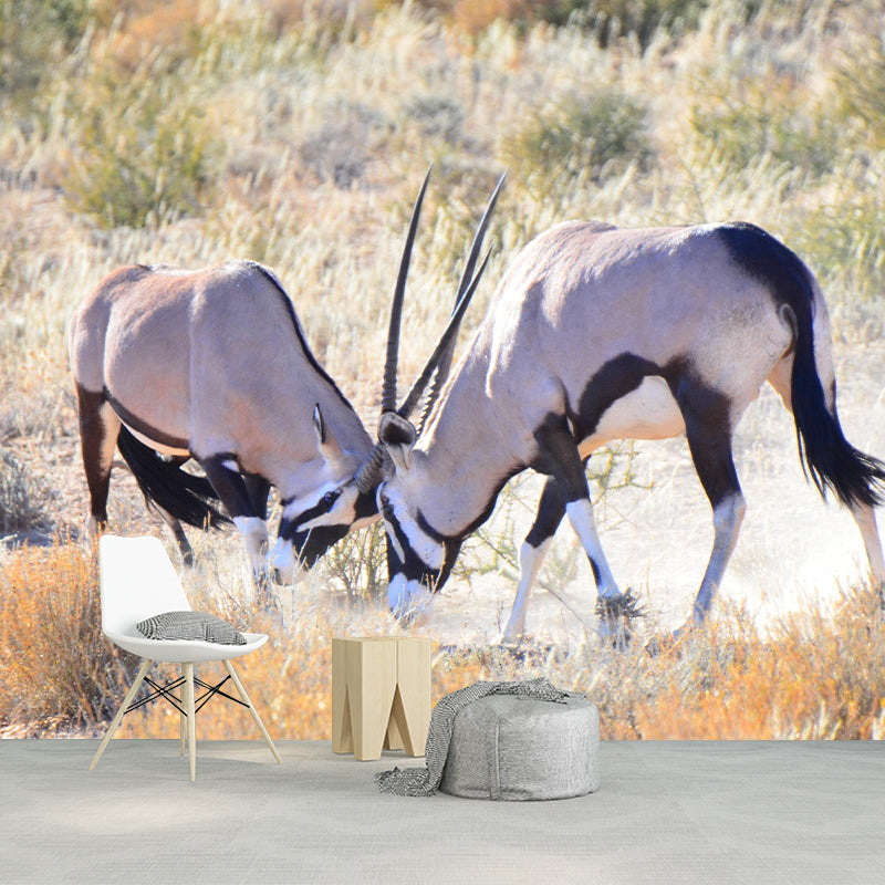 Customized Antelope Wall Mural Wallpaper Horizontal Photography for Sitting Room
