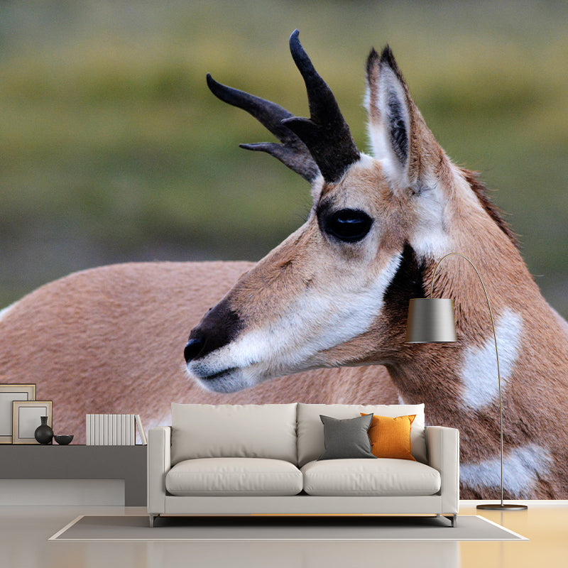 Customized Antelope Wall Mural Wallpaper Horizontal Photography for Sitting Room