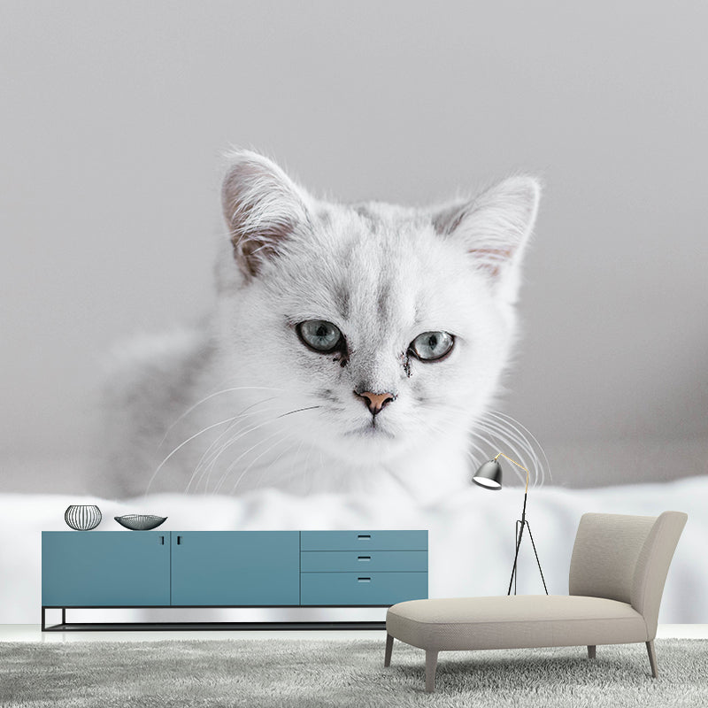 Customized Cat Wall Mural Wallpaper Horizontal Photography for Sitting Room